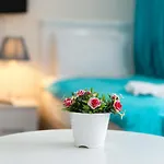 Nar Hotel *